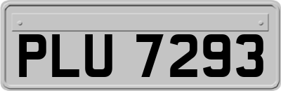 PLU7293