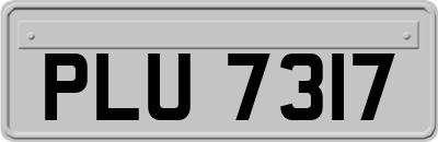 PLU7317