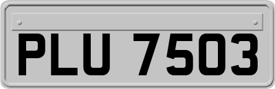 PLU7503