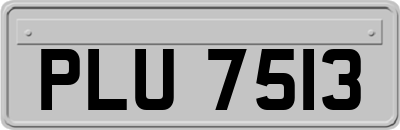 PLU7513