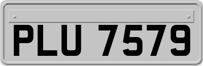 PLU7579