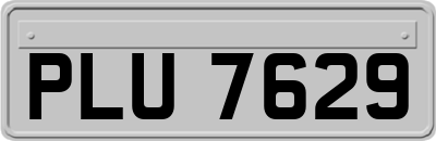 PLU7629