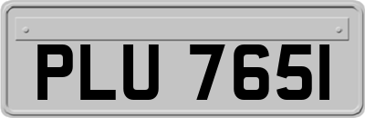 PLU7651