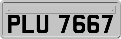 PLU7667