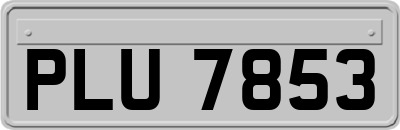 PLU7853