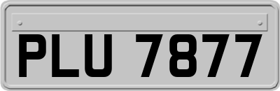 PLU7877