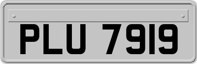 PLU7919