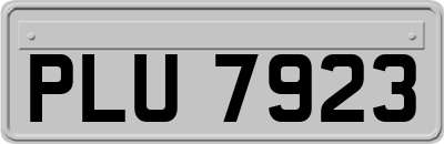 PLU7923