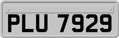 PLU7929