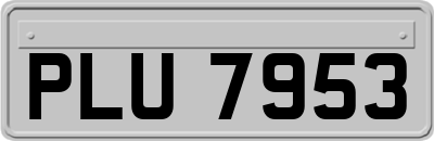 PLU7953