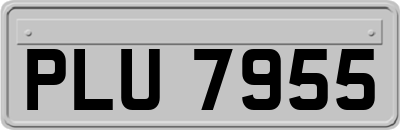 PLU7955