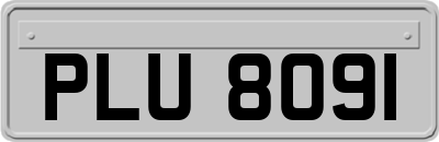 PLU8091