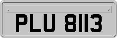 PLU8113