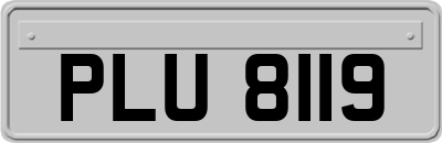 PLU8119