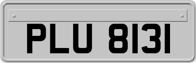 PLU8131