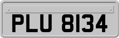 PLU8134