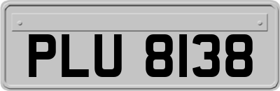 PLU8138