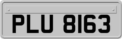 PLU8163