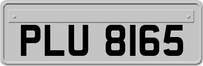 PLU8165