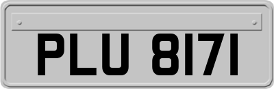 PLU8171