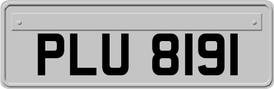 PLU8191