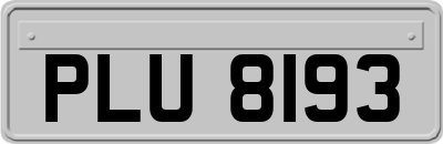 PLU8193