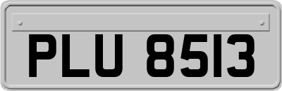 PLU8513