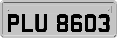 PLU8603