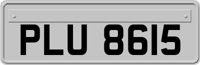 PLU8615