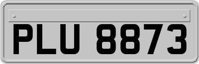 PLU8873