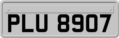 PLU8907