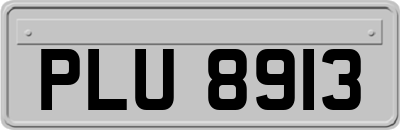 PLU8913