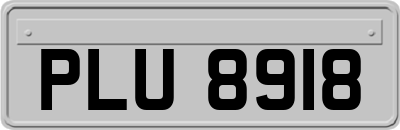 PLU8918