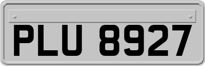 PLU8927