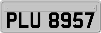 PLU8957