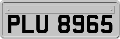 PLU8965