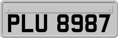 PLU8987