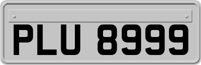 PLU8999