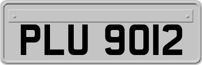 PLU9012