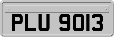 PLU9013