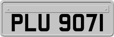 PLU9071