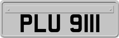 PLU9111