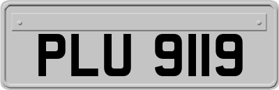 PLU9119