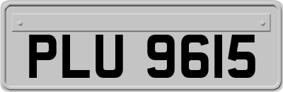 PLU9615