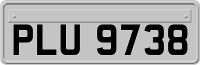 PLU9738