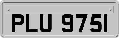 PLU9751