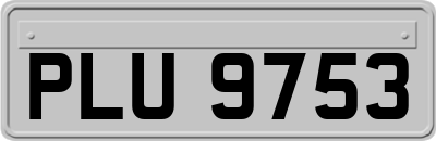 PLU9753