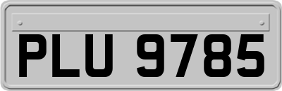 PLU9785