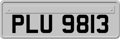 PLU9813