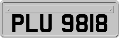 PLU9818